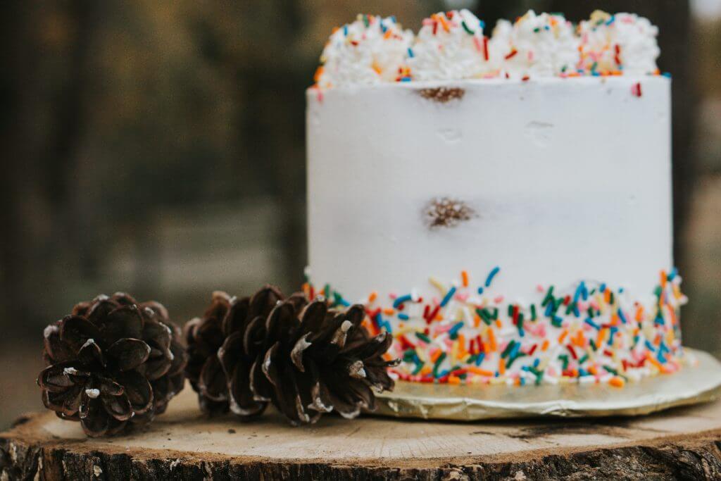 Pinecone Birthday Cake