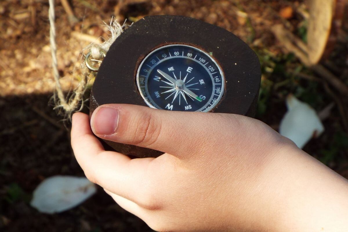Forest School Training, Different Levels Of Forest School Training