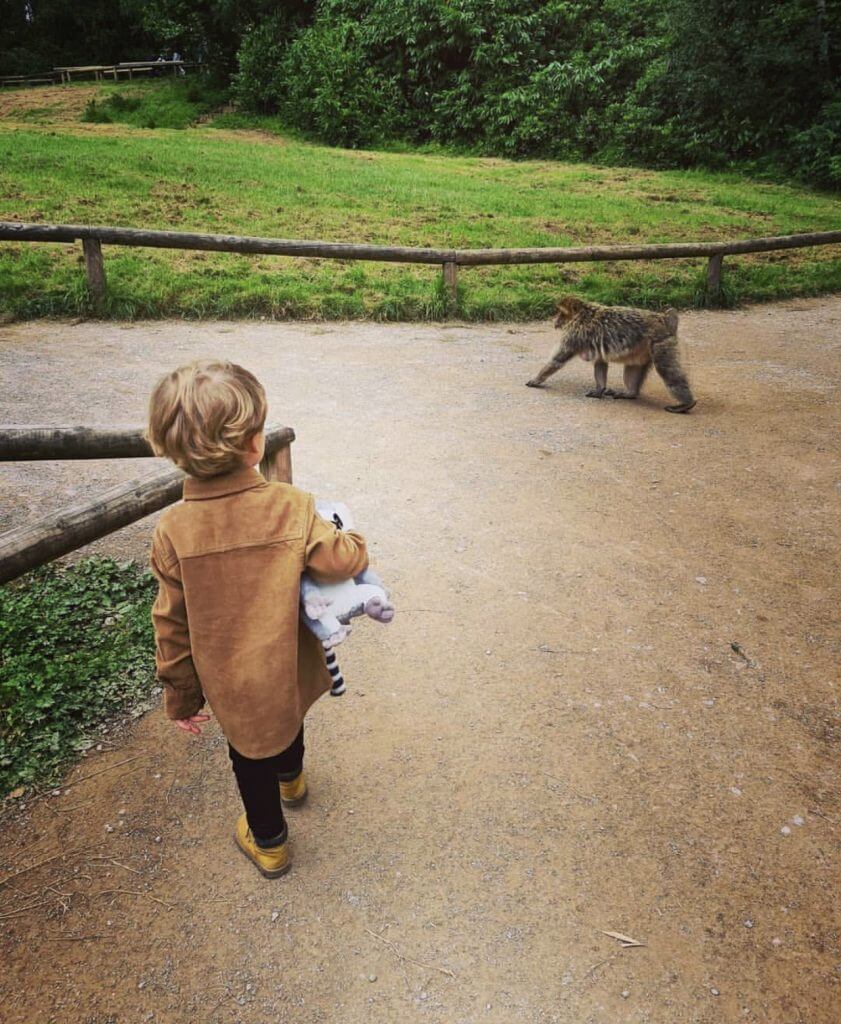 Keep a close eye on your little one's belongings. The monkeys are very curious.
