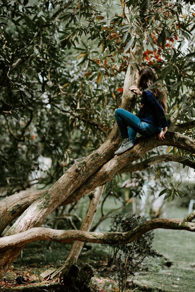 Climbing Tree