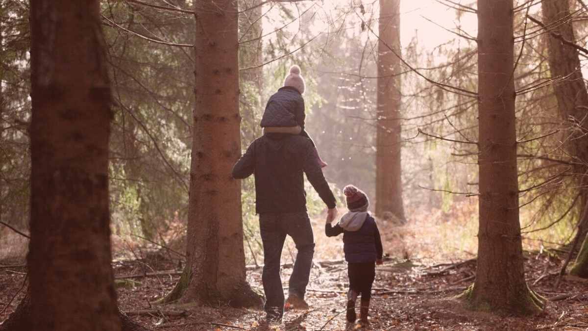 Planning a Woodland Walk With Children