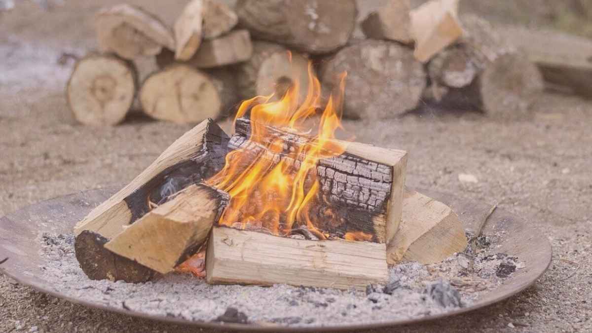 Best Wood For Fire Pits What Are The, Eco Logs For Fire Pit
