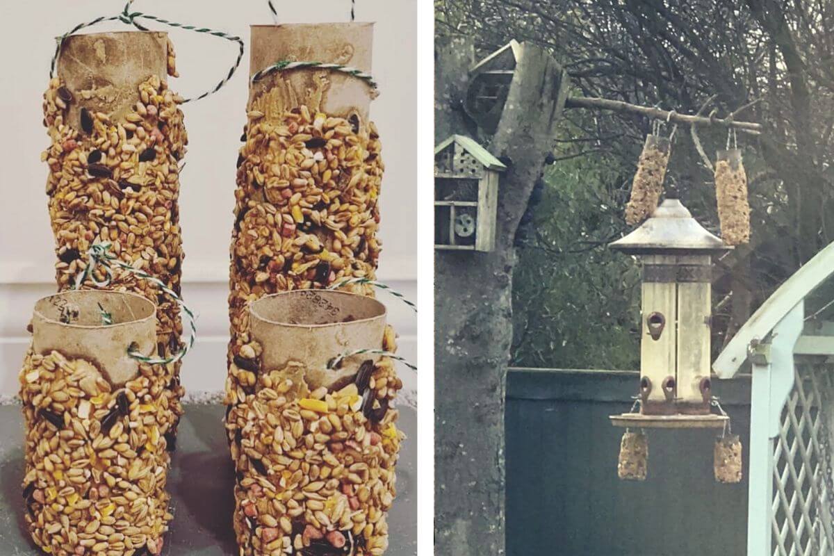 How To Make Toilet Roll Bird Feeders! An Easy Activity For Kids