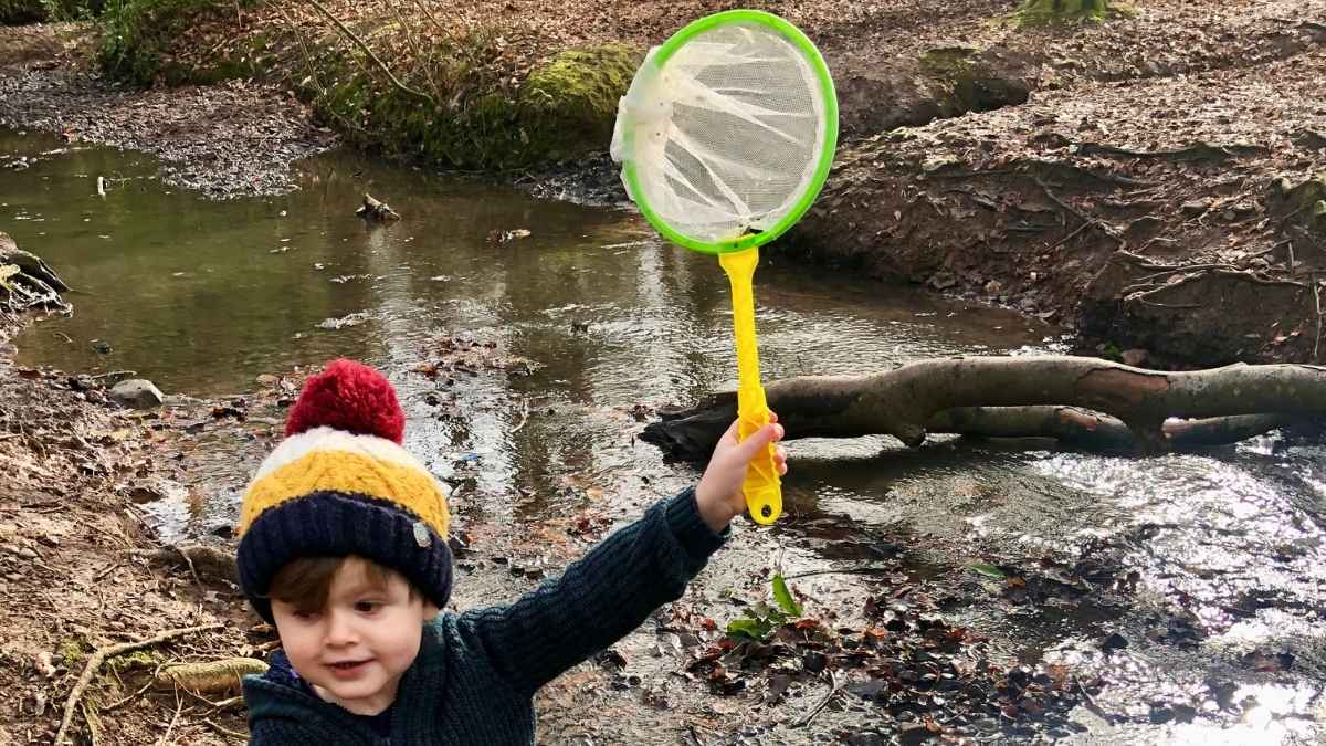 A Guide To Pond Dipping, All You Need To Know About Pond Dipping