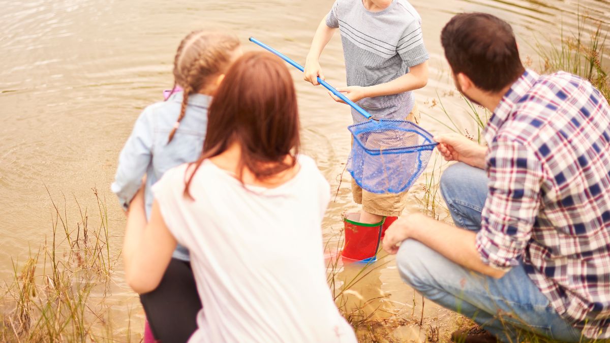 Header for pond dipping.
