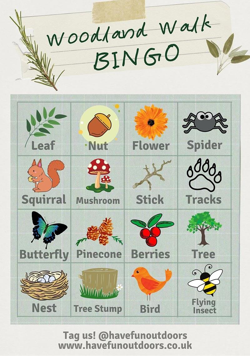 Woodland Bingo Activity