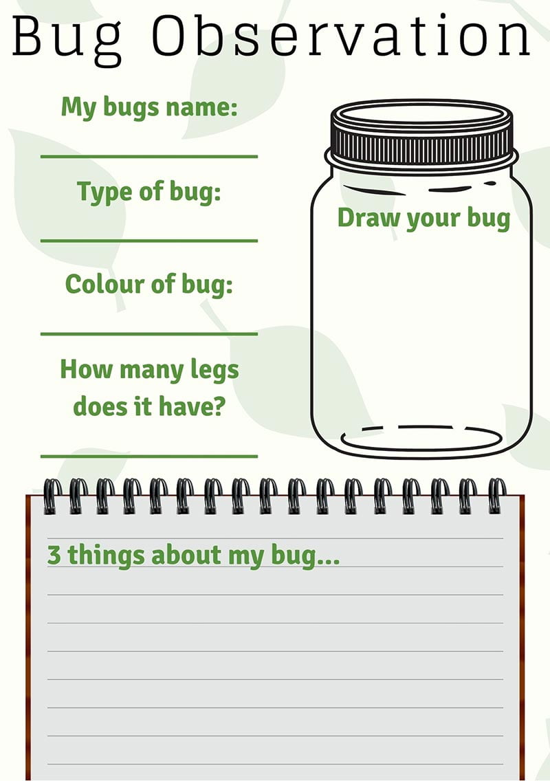Bug Observation Printable