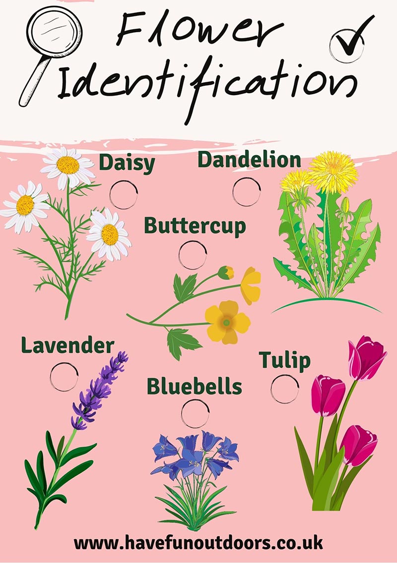 Flower ID Printable