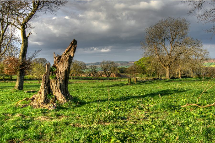 Stanton Moor. Stanton Moor.