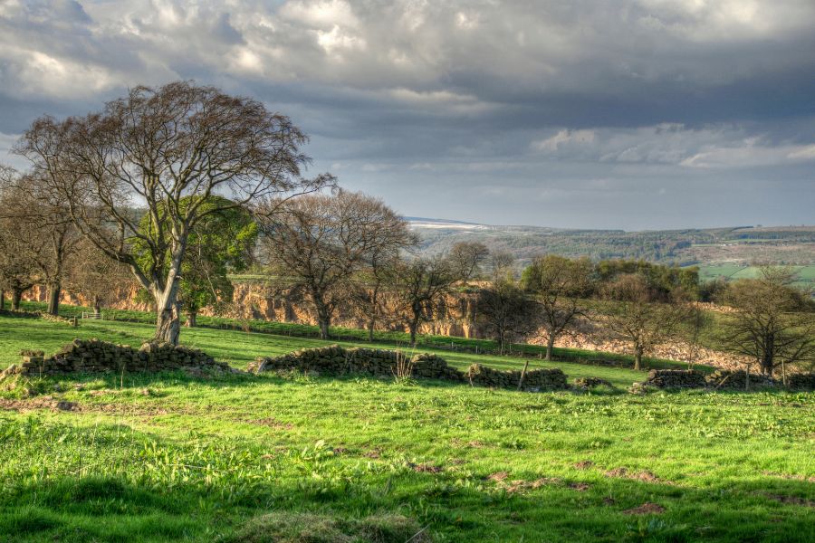 Stanton Moor. Stanton Moor.