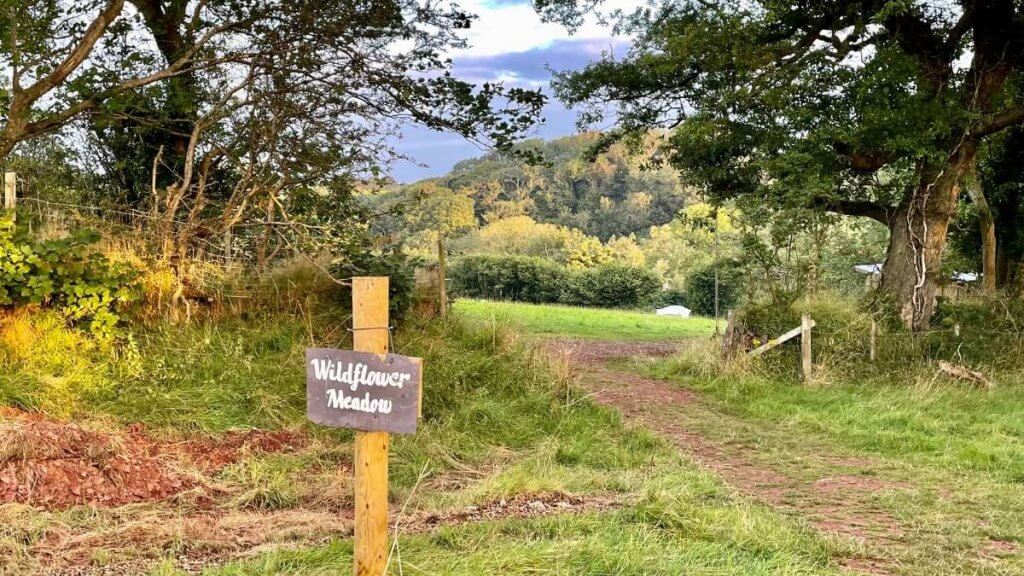 Eco Escapes Campsite Wildflower Meadow