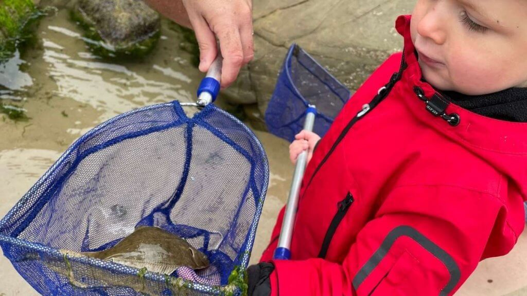 Rockpooling School Early Years Play Outdoors