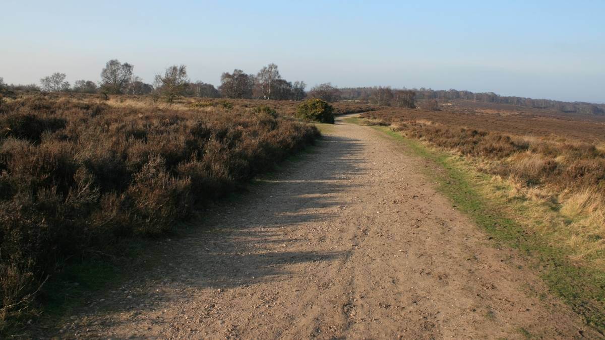 Cannock Chase is a popular attraction near Quarry Walk Park