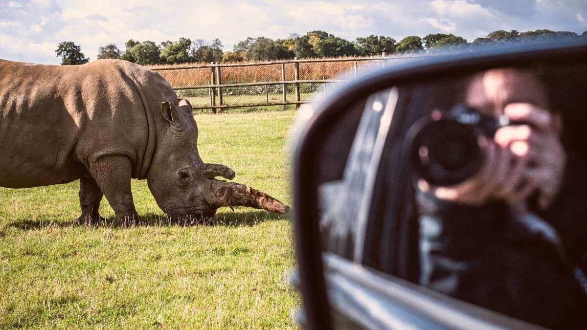 Best safari parks in the UK