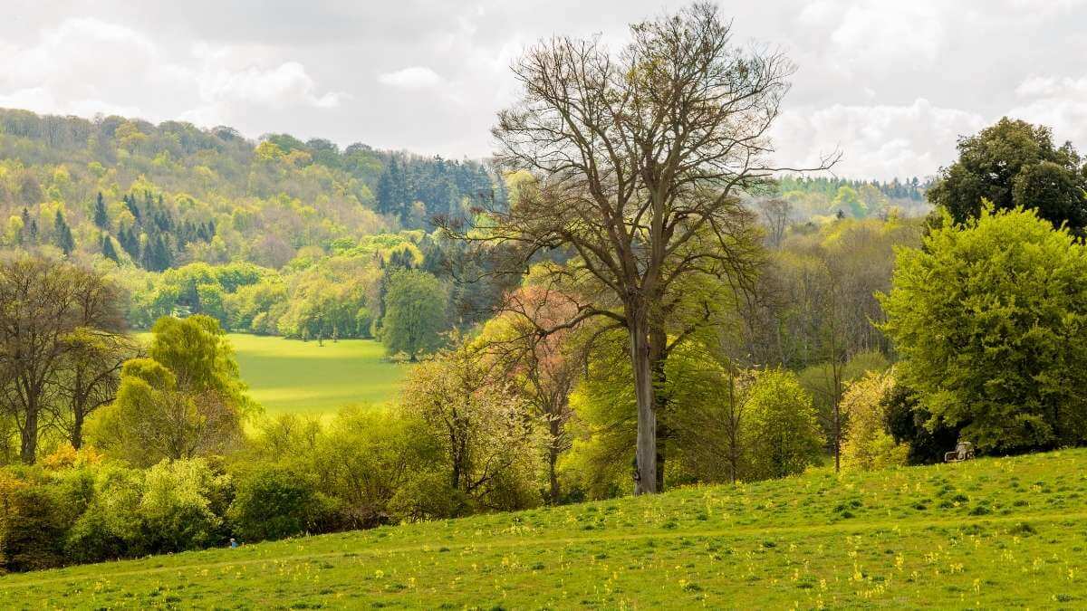 Hampshire to Chawton Circular Walk
