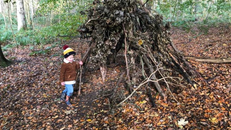 Den Building Kits And Ideas, How To Build A Den Outside