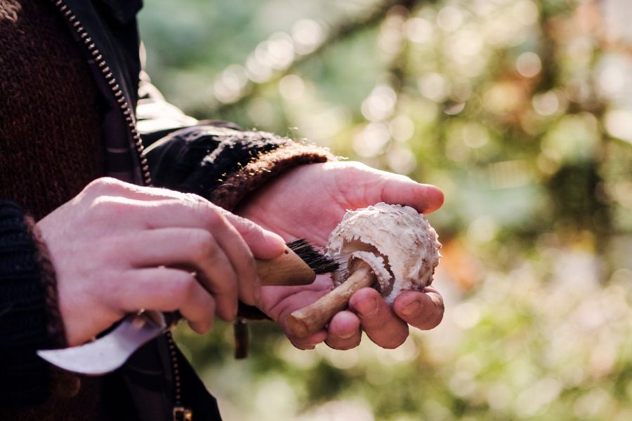 Foraging for materials with kids. Foraging for materials with kids.