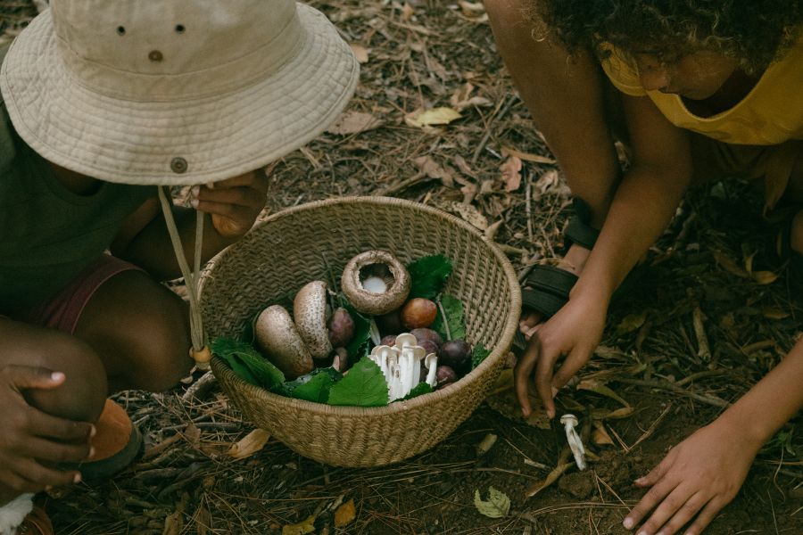 Foraging with children. Foraging with children.