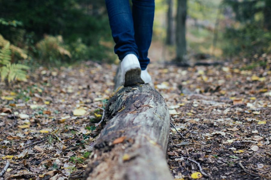 Nature trail. Nature trail.