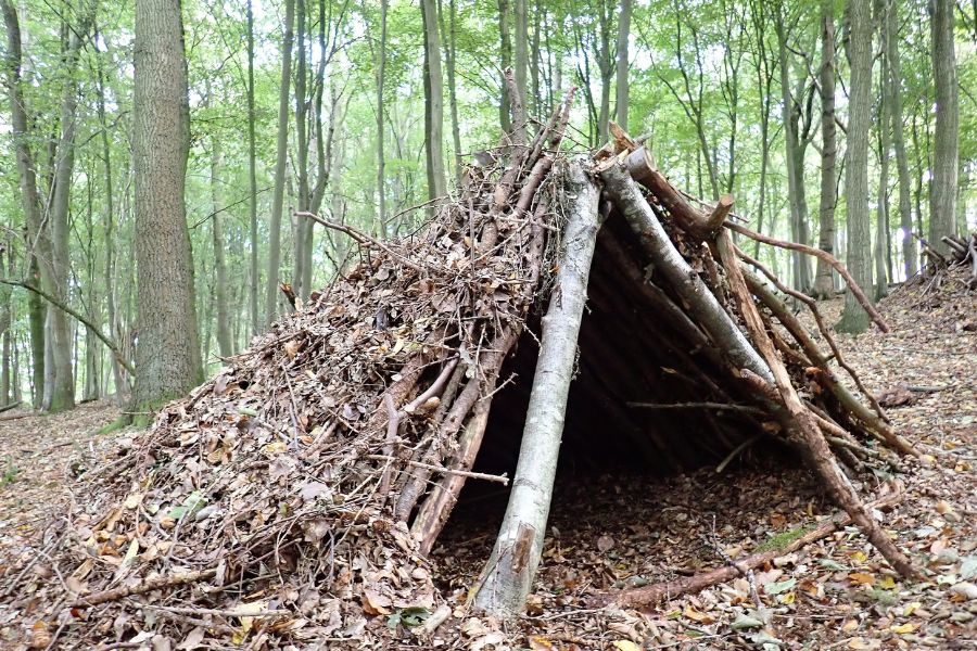 Shelter building in forest. Shelter building in forest.