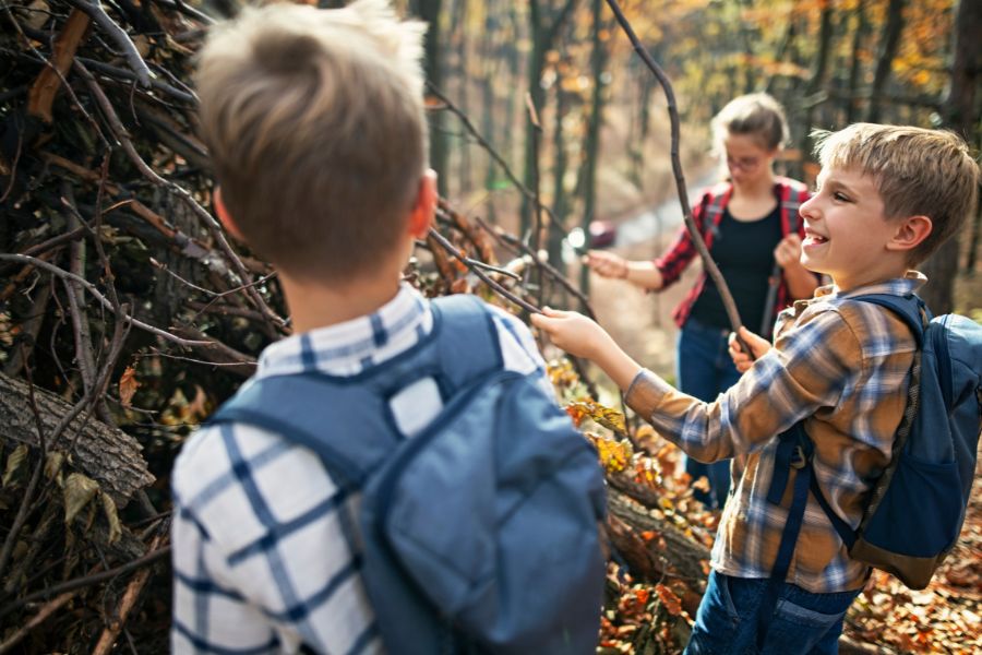 Shelter building in forest. Shelter building in forest.